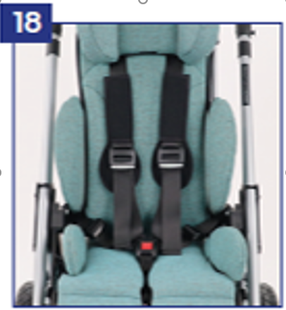 5-ти точечный ремень безопасности Hoggi Evolution фото 1